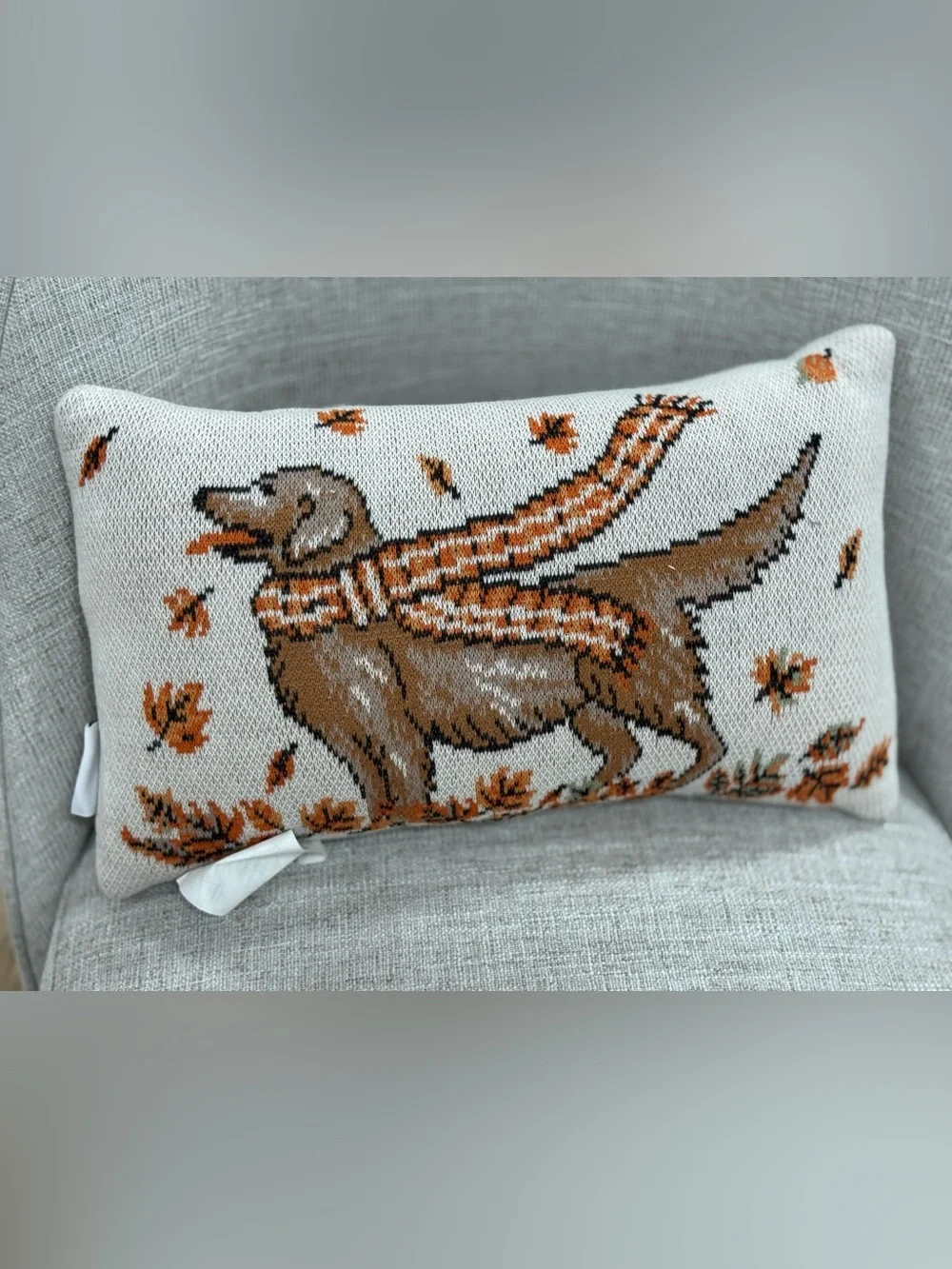 Decorative Brown Dog Knit Pillow double side with Orange Accents -